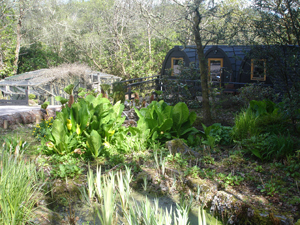 The Owlery Garden and Pond at Salen Ardnamurchan Scotland